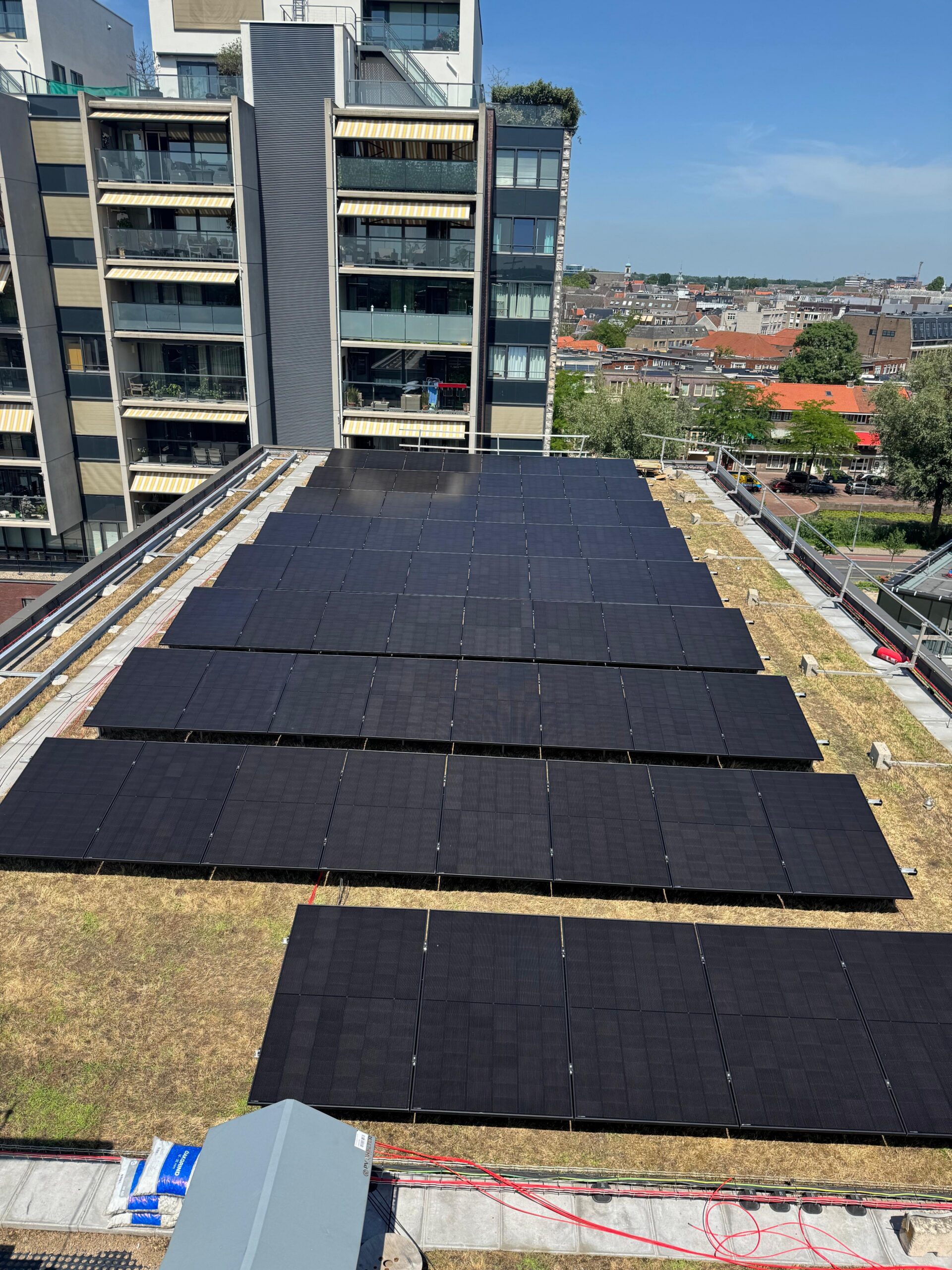 Zonnepanelen in rijen op het sedumdak, met uitzicht over Dordrecht