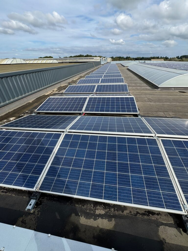 Rijen zonnepanelen op een bedrijfsdak
